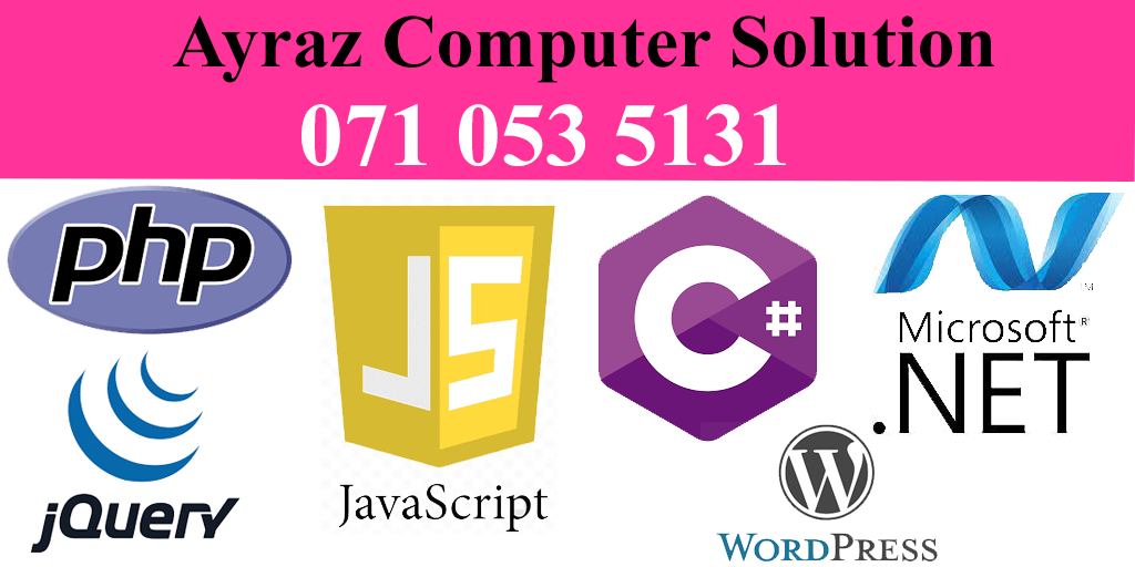 Ayraz Computer Solution Software Services