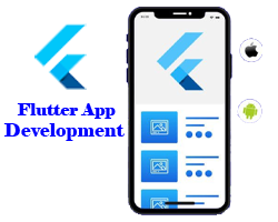 Ayraz Computer Solution FLUTTER APP DEVELOPMENT